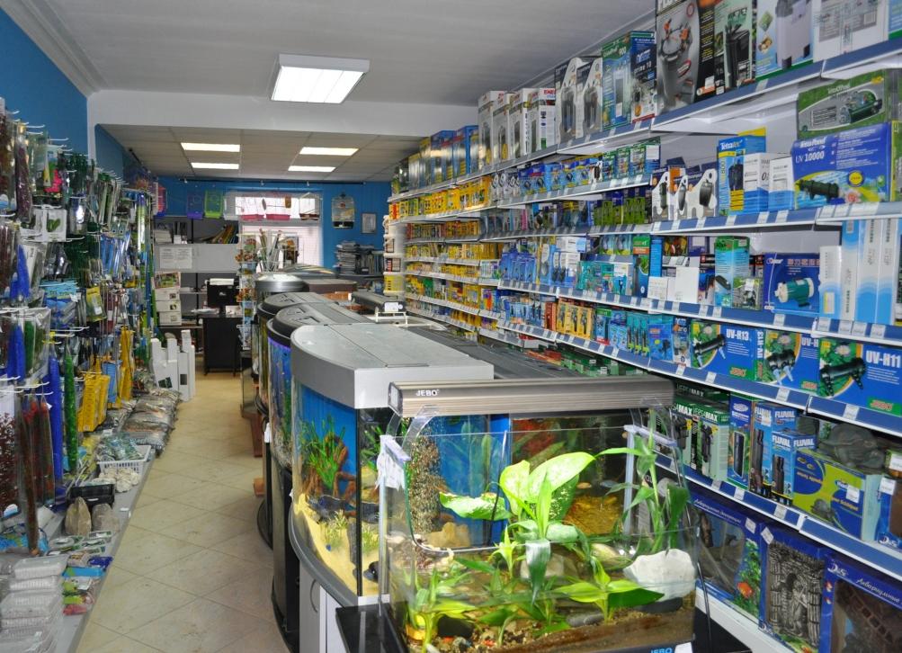 Картинка маленькой детальной галереи