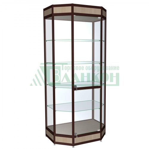 Витрина-трапеция с алюминиевым профилем Практик-6, прочная и стильная купить в магазине торгового оборудования в Петербурге